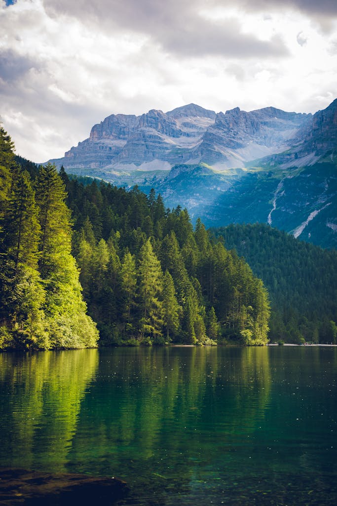 Peaceful alpine landscape featuring a serene lake with mountain and forest reflections.